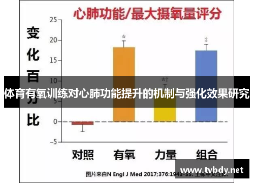 体育有氧训练对心肺功能提升的机制与强化效果研究
